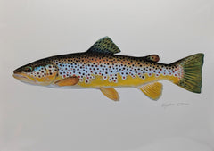 Load image into Gallery viewer, Liz Bateman Art - Fish Prints