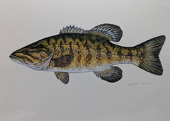 Load image into Gallery viewer, Liz Bateman Art - Fish Prints