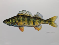 Load image into Gallery viewer, Liz Bateman Art - Fish Prints