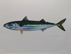 Load image into Gallery viewer, Liz Bateman Art - Fish Prints