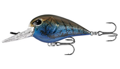 Load image into Gallery viewer, 13 Fishing - Gordito