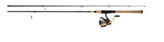 Load image into Gallery viewer, Daiwa - Revros LT Combo
