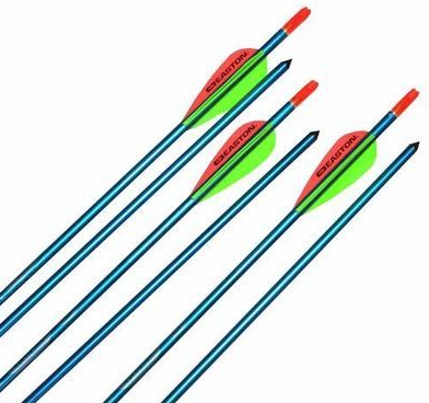 Easton - Genesis 1820 Competition arrows