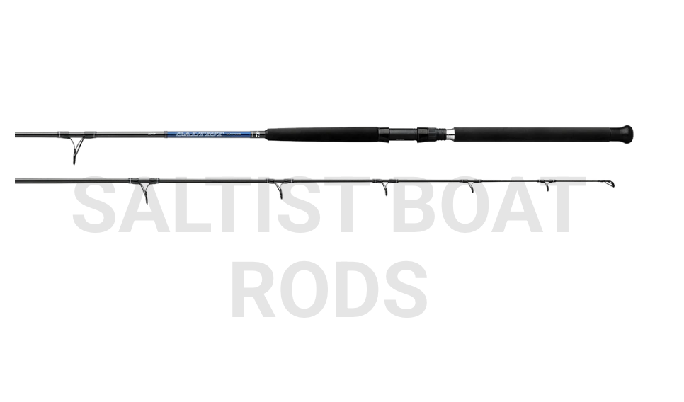 Daiwa - Saltist Saltwater Boat Rod