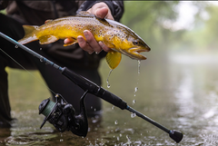Load image into Gallery viewer, St. Croix - Trout Series Spinning Rod
