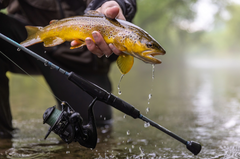 Load image into Gallery viewer, St. Croix - Trout Series Spinning 3pc Rod
