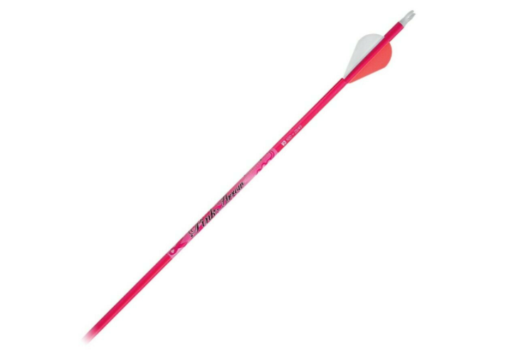 VICTORY VFORCE PINK ARROW PROJECT